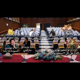 الفرقه الرابعة نظم معلومات اداريه