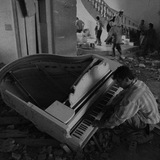 قشاع.