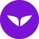 Mindvalley Español