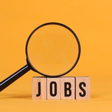 TCS | Infosys | Wipro | Cognizant | Accenture Jobs