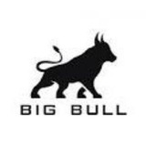 BIG BULL TRADING ™