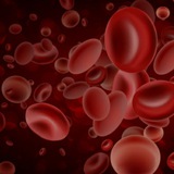 hematology