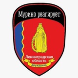 Мурино Реагирует