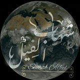 راصد الأجواء| شهاب الفيل