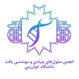 انجمن سلولهاى بنيادى و مهندسى بافت