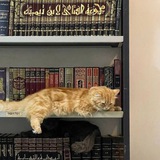 جنةَ