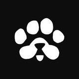 Paws My quest