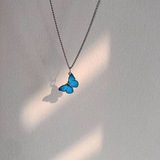 - أجنحَة فِراشة .