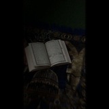 مرشحات وتسريبات البكلوريا