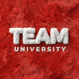 TEAM University