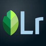 Lightroom and Snapseed presets