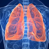 Respiratory step 2 videos 2026