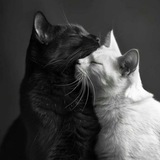 Whispers of the Soul