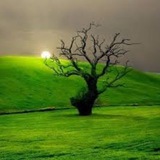 Nature|طبیعت