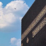 نسمة فتاة سلفية 🌸 🌾