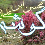 🌹گوشه ای از بهشت🌹