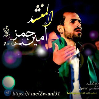 💯 زوامل أمين حمزه 💯