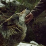#Netzfunde ❤ 🕊 <i class="emoji" style="background-image:u