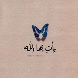 اقتباسات قرانية 。♡♡。.