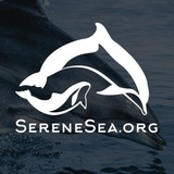 Центр «Безмятежное Море» 🐬