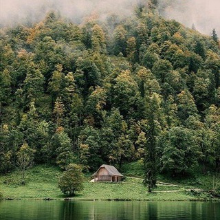 هیستوهیگه | HistoHygge