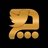 توییتر چاوشی | twitterchavoshi