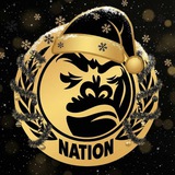 APE NATION