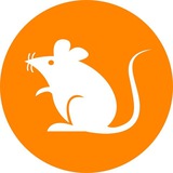 RATS Community Channel 📢