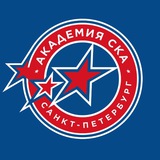 Академия СКА