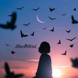 Black Bïrd