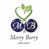 Merry Berry | Питомник саженцев голубики