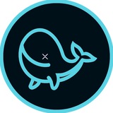 XRPL Trade Tracker
