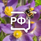 Объясняем.Ленинградская область