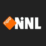Виховання дітей в Нідерландах