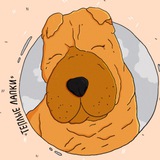 Тёплые Лапки 🐾