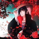 Itachi Degen Gambles