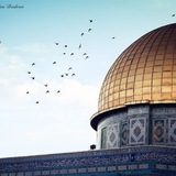 قناة الإعداد