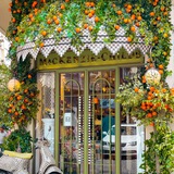 شجرة برتقال 🍂 🍊