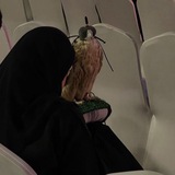 𝚁𝚊𝚣𝚊𝚗 🇸🇦 .