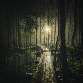 Forest PlayList
