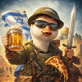 Дикие гуси летят в Израиль 🇮🇱