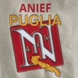 ANIEF Puglia_pasquale spinelli