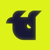 WhiteBIT News