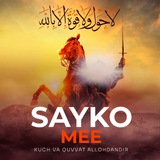 SAYKO MEE ⚔️