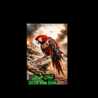 گیلان طوطی آموزش نگهداری طوطی راهب گرینچیک عروس ملنگو کوتوله شاه طوطی خورشیدی