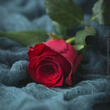 🌸 رياضيات ثالثة إعدادي 📚