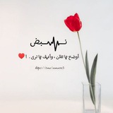 نَبـــض ♥️
