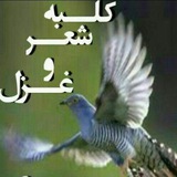 کلبه شعر و غزل 🕊