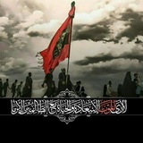 قناة_النجيب