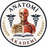 TIPakademisi ANATOMİ